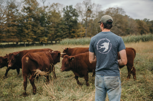 The Birth of Wild Harmony Farm