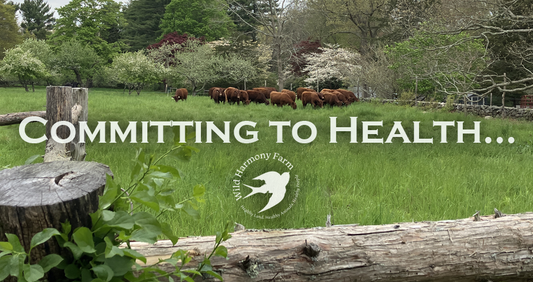 Committing to Health....Every Day. Vital but challenging.
