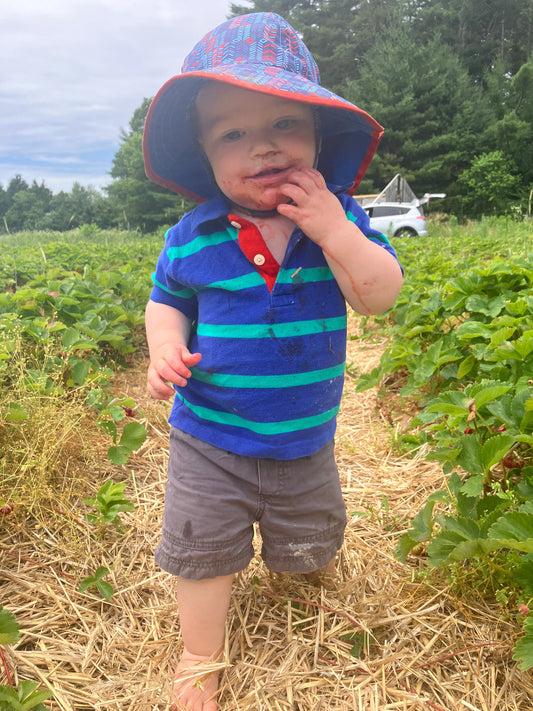 What our toddler's cravings are telling us